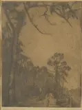 Jessie Traill, The Evening Star, 1914, etching ed. 12/25