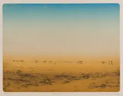 Mirage by Tim Storrier, 2002, etching 45/60, sold Jun 2019