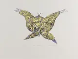 Charles Blackman, Teapot Butterfly, screenprint 67/75