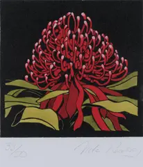 Vida Pearson, Waratah, linocut 33/50