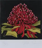 Vida Pearson, Waratah, linocut 33/50