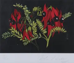 Vida Pearson, Sturt Pea, linocut 3/50