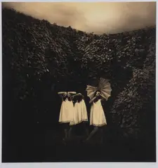 Jane Burton, Ivy #3, 2009, pigment print 3/5