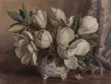 Allan T. Bernaldo, Magnolias, watercolour