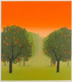 Anne Graham, Orange Grove