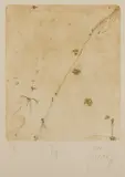 John Olsen, Cliffs, 1978, etching 17/60