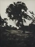 Louise Hearman, Untitled c., 1996, oil on board