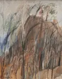 Michael Shannon, Granite Rocks in the Bush