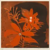 Charles Blackman, Bouquet Orange, coloured etching 16/30