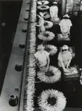 Wolfgang Sievers, Asparagus Factory Workers