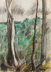 Moya Dyring, Bush Fire Country Near Heidelberg, pastel on paper
