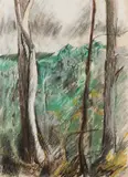 Moya Dyring, Bush Fire Country Near Heidelberg, pastel on paper
