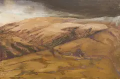 Mandy Martin, Skeletal Landscape, 1986, oil on canvas