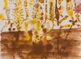 John Olsen, Honey Possum and Bottle Brush, 1974, watercolour on paper