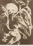 Arthur Boyd, Scull and Nude (Narcissus Series), etching 26/30