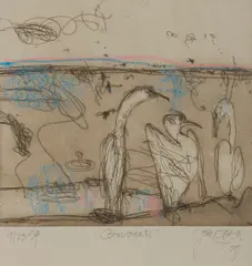 John Olsen, Cormorants, 2005, hand coloured etching S/P