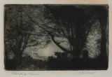 Elioth Gruner, Landscape, dry point etching, trial proof