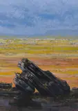 Tom Gleghorn, Flood Plain Kakadu, 1987, oil on canvas