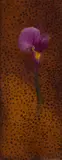 Tim Storrier, African Lily, 2005, oil on board