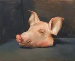 Peter Churcher, Pig, 2004, oil on canvas