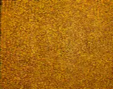 Gloria Petyarre, Untitled