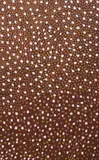 Marsupial Dreaming by Mick Namarari Tjapaltjarri, 1996, acrylic and natural earth pigments on linen, sold Feb 2018