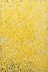 Barbara Weir, Grass Seeds, 2004, acrylic on linen