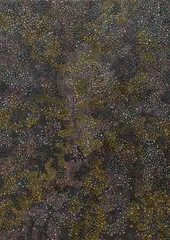 Susie Hunter, Bush Tucker Dreaming, 2005, acrylic on linen