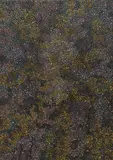 Susie Hunter, Bush Tucker Dreaming, 2005, acrylic on linen