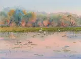 Ben Shearer, (on view only in Sydney, items to be collected from Sydney at purchasers expense), watercolour on paper