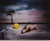 Marian Drew, Bandicook With Quince, 2006-2007, archival pigment on hahnemule paper ed. A/P