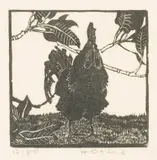 Helen Ogilvie, The Black Rooster