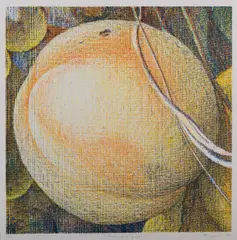Tim Maguire, Peach and Grapes, screenprint 24/40