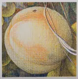 Tim Maguire, Peach and Grapes, screenprint 24/40