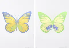 Damien Hirst, Pair of Works:, i. 3 colour foil block on 300gsm arches 88 archival paper 12/15