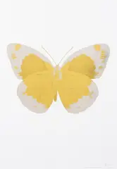 Damien Hirst, The Souls II ( Oriental Gold/ Silver Glass/ Bilnd Impression), 3 colour foil block on 300gsm arches 88 archival paper 11/15