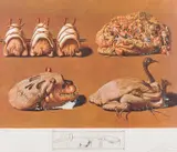 Les Caprices Princess Princiers by Salvador Dalí, offset lithograph 133/195, sold Sep 2017