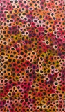 Minnie Pwerle, Bush Melon Dreaming, 2004, acrylic on canvas
