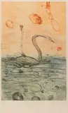 John Olsen, Swan on the Orde River, 1984, colour etching 13/100