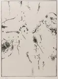 Fred Williams, Acacias, lithograph 10/12