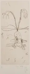 John Olsen, Frog Jumping, 1975, etching A/P