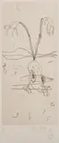 John Olsen, Frog Jumping, 1975, etching A/P