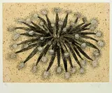 Fiona Margaret Hall, (LOCATION SYDNEY OFFICE - all enquiries phone 02 9362 9045), etching