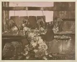 Clifton Pugh, Shearing Shead, etching