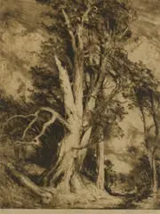 Henri van Raalte, The Gust, etching