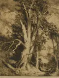 Henri van Raalte, The Gust, etching