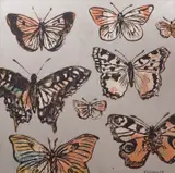 David Bromley, Butterflies, acrylic and silver leaf on canvas