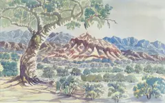 Otto Pareroultja, James Range Country, 1960, watercolour