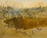 William Boissevain, Billabong II
