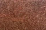 Willy Tjungurrayi, Tingari Dreaming, 2007, acrylic on canvas